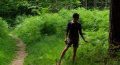 L'arbre en émoi (extrait)