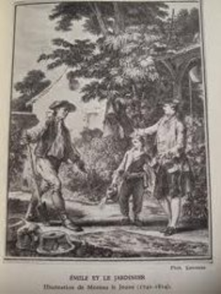 Images intégrées 1