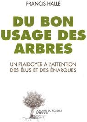 Images intégrées 1